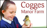 Cogges Manor Farm
