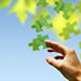 My applications image