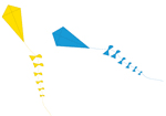 coloured kites