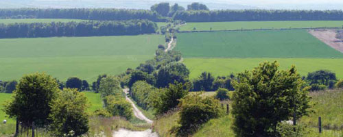 The Ridgeway
