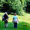 Walking in the countryside