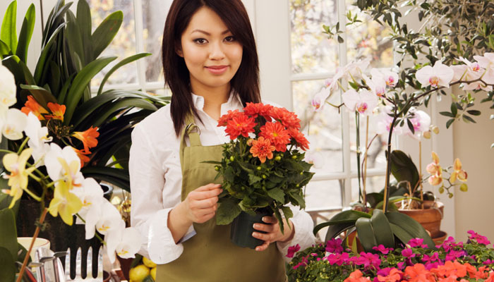 Florist in shop
