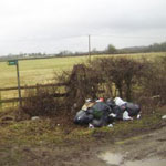Bags of rubbish in hedgerow