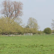 View to the west, south of Sarsden 