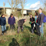 CAT team identify an ash tree