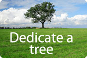 Dedicate a tree
