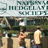 Hedgelaying
