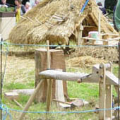 Traditional skills 