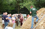 thatching demo