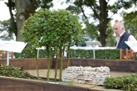 Mini hedge