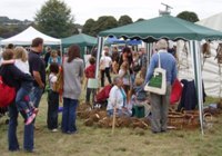 Willow weavers 