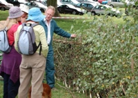 Will Partridge and hedge laying group