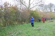 The hedge 