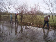 Muddy
