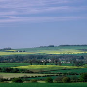 Shipton-u-Wychwood (copyright Terry Wigley) 
