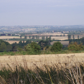 View to the west, south of Sarsden 