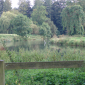 River Glyme/Lake, Kiddington Park