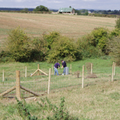 Evenlode Valley, West of Ascott-under-Wychwood 
