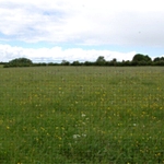 New land