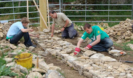 Dry stone walling