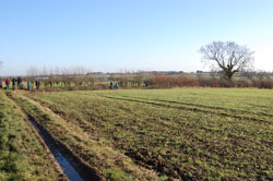 60 metres of hedge to lay