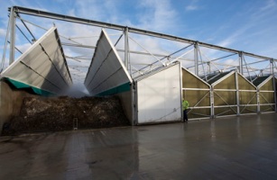 IVC plant